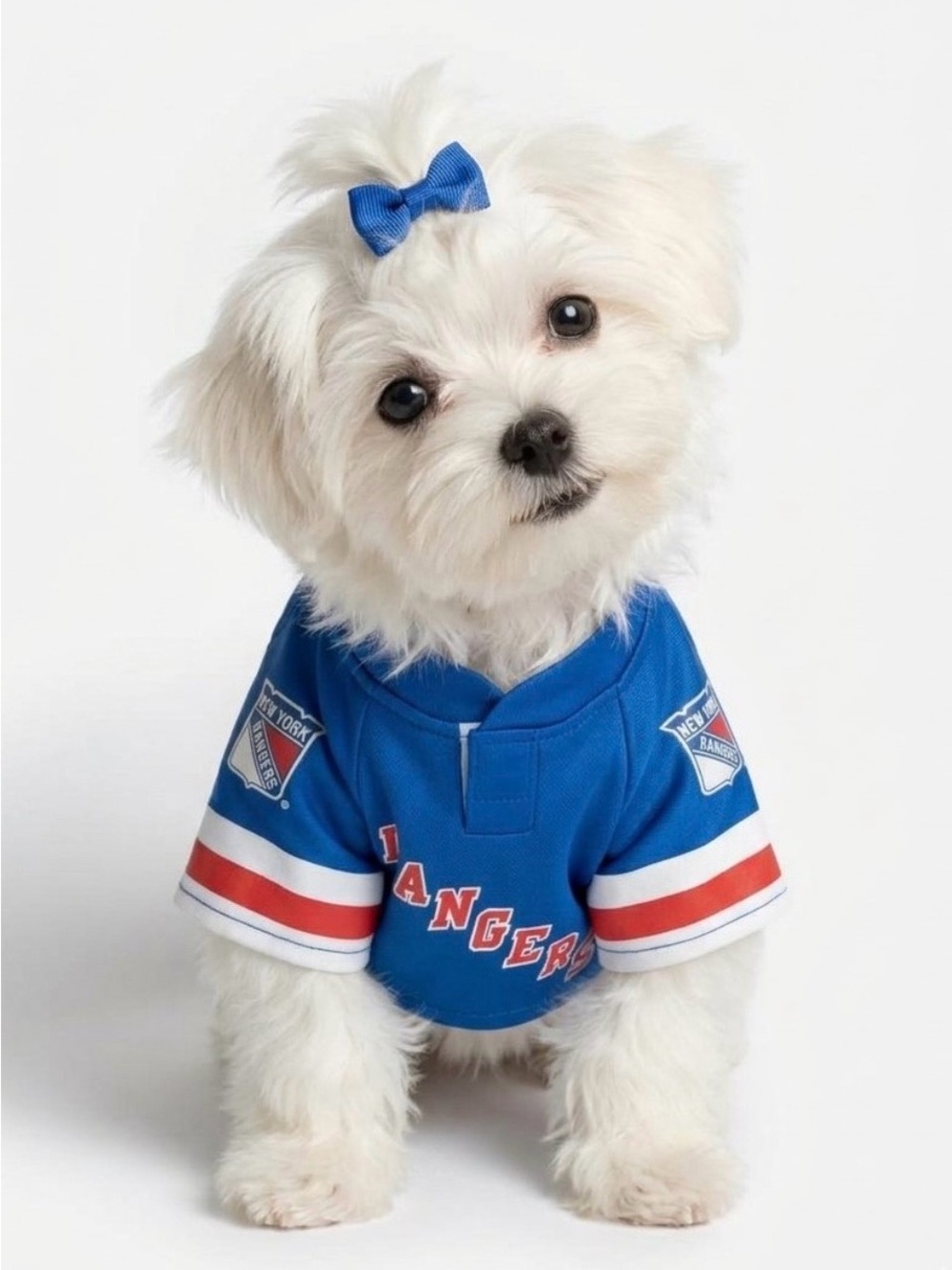 Extra Small Rangers Jersey for your fur baby